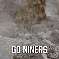 San Francisco 49Ers Sport GIF by Sealed With A GIF