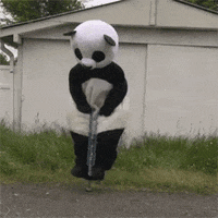 panda bounce GIF