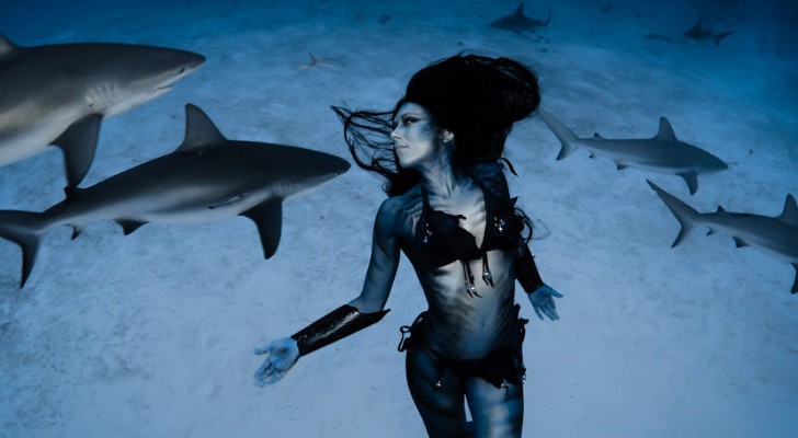 Watch-Video-Shows-Woman-Dancing-with-Tiger-Sharks-446539-2.jpg