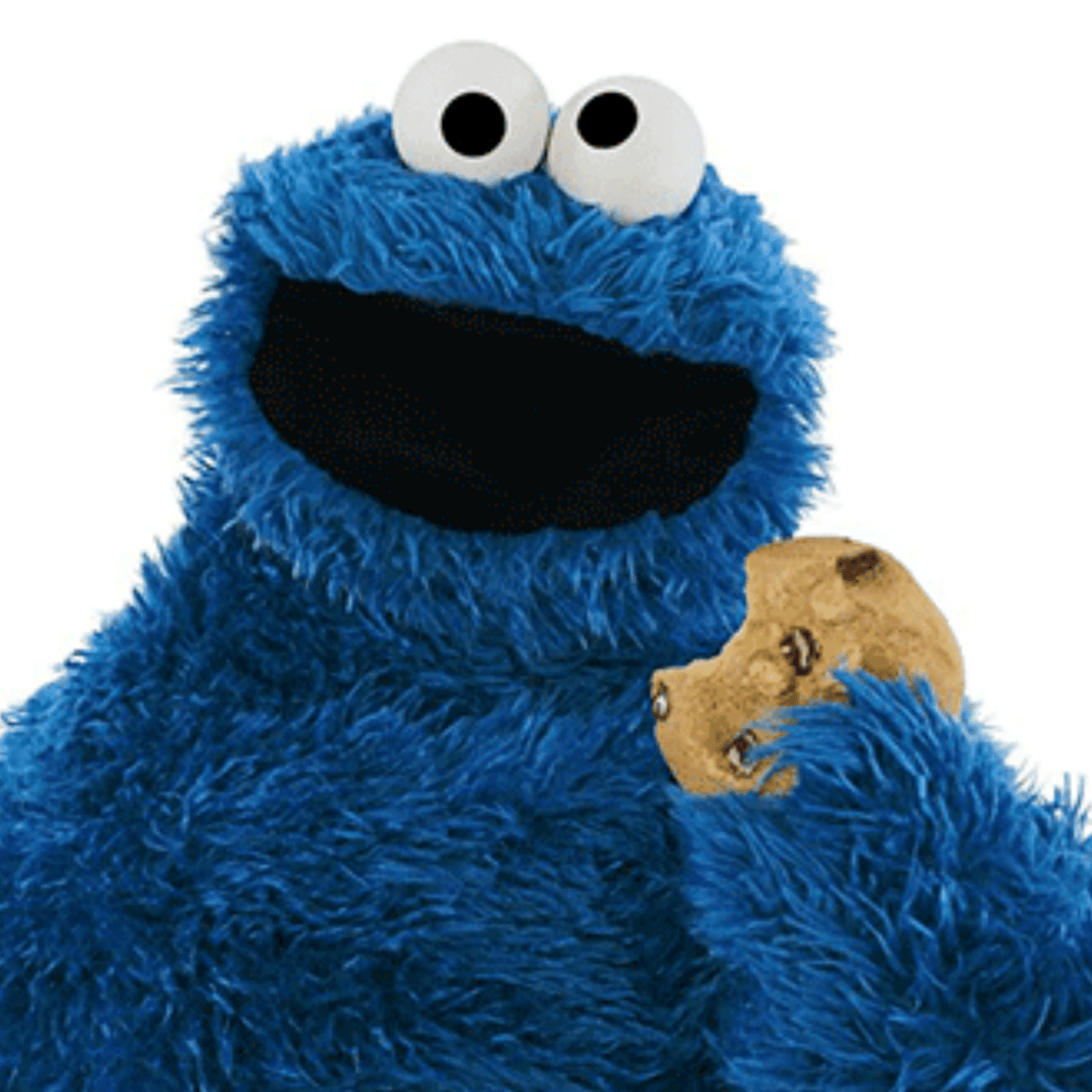 cookie-monster-1116.png