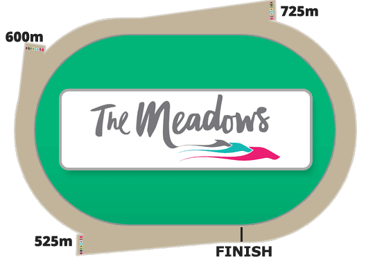 The-Meadows.png