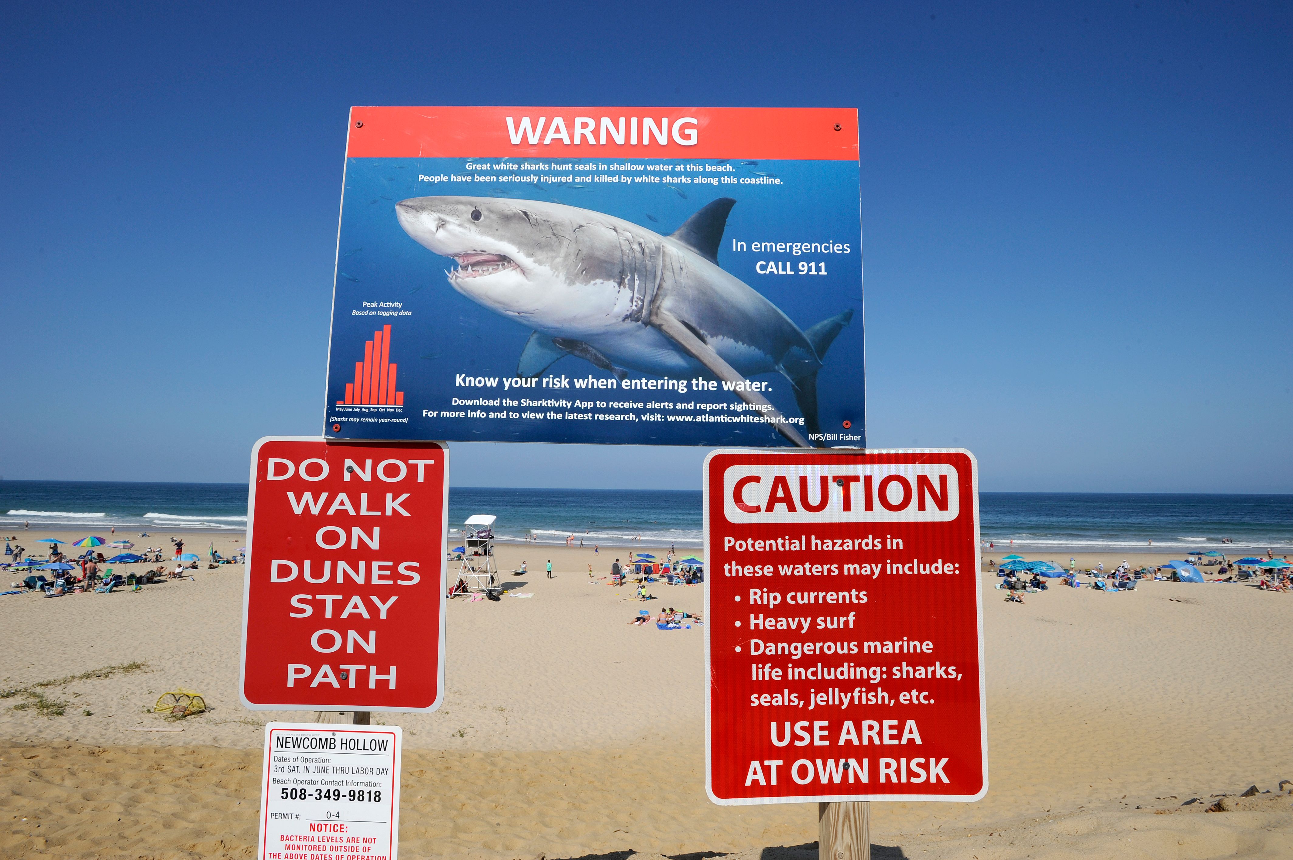 It seems graphic warning signs do little to influence beachgoers and swimmers